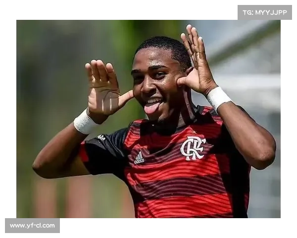 加布里埃尔领跑巴甲射手榜 弗拉门戈前锋状态火爆