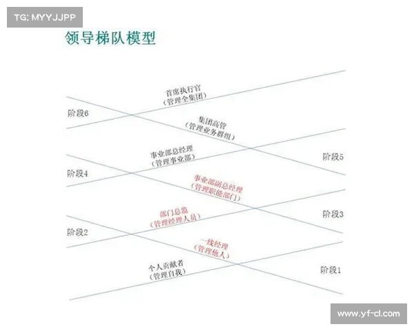 荷兰水球青训体系调查分析从12岁起进入职业联赛梯队选拔模式 荷兰水球青训体系调查分析从12岁起进入职业联赛梯队选拔模式